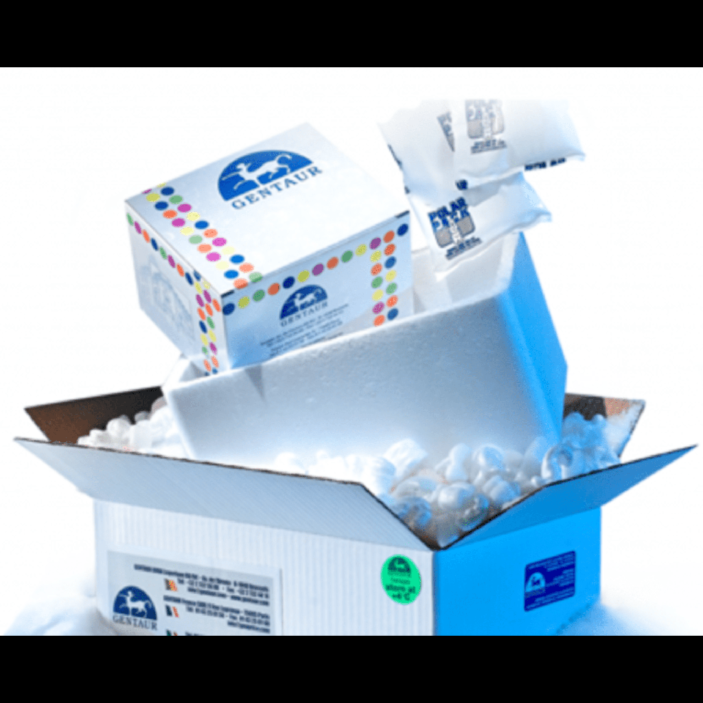 CF®555 Donkey Antisize:Goat IgG  H+L , Highly Crosssize:Adsorbed size: 1 mg